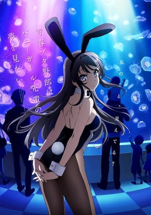 Rascal Does Not Dream of Bunny Girl Senpai cover